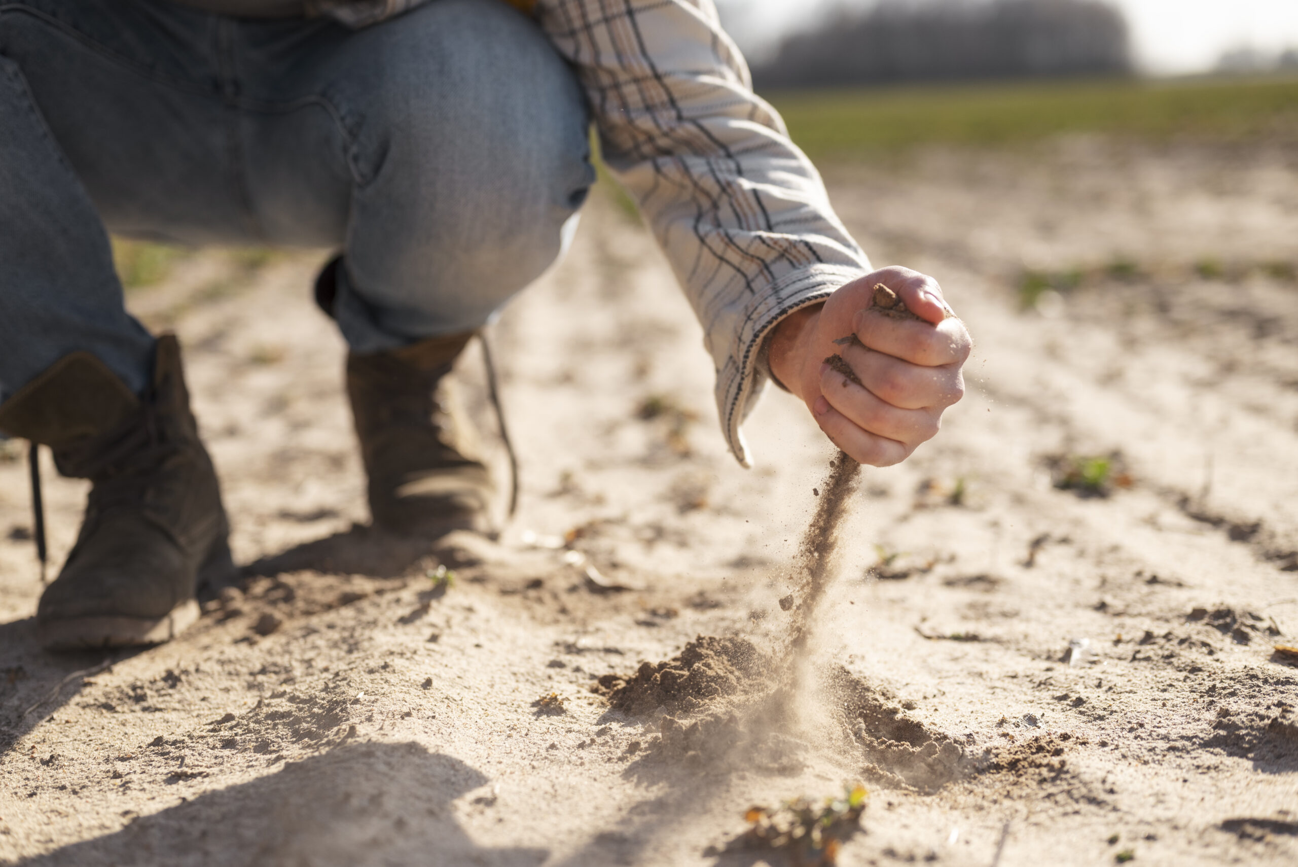Close-up of a person's hand dropping dry soil onto a field.