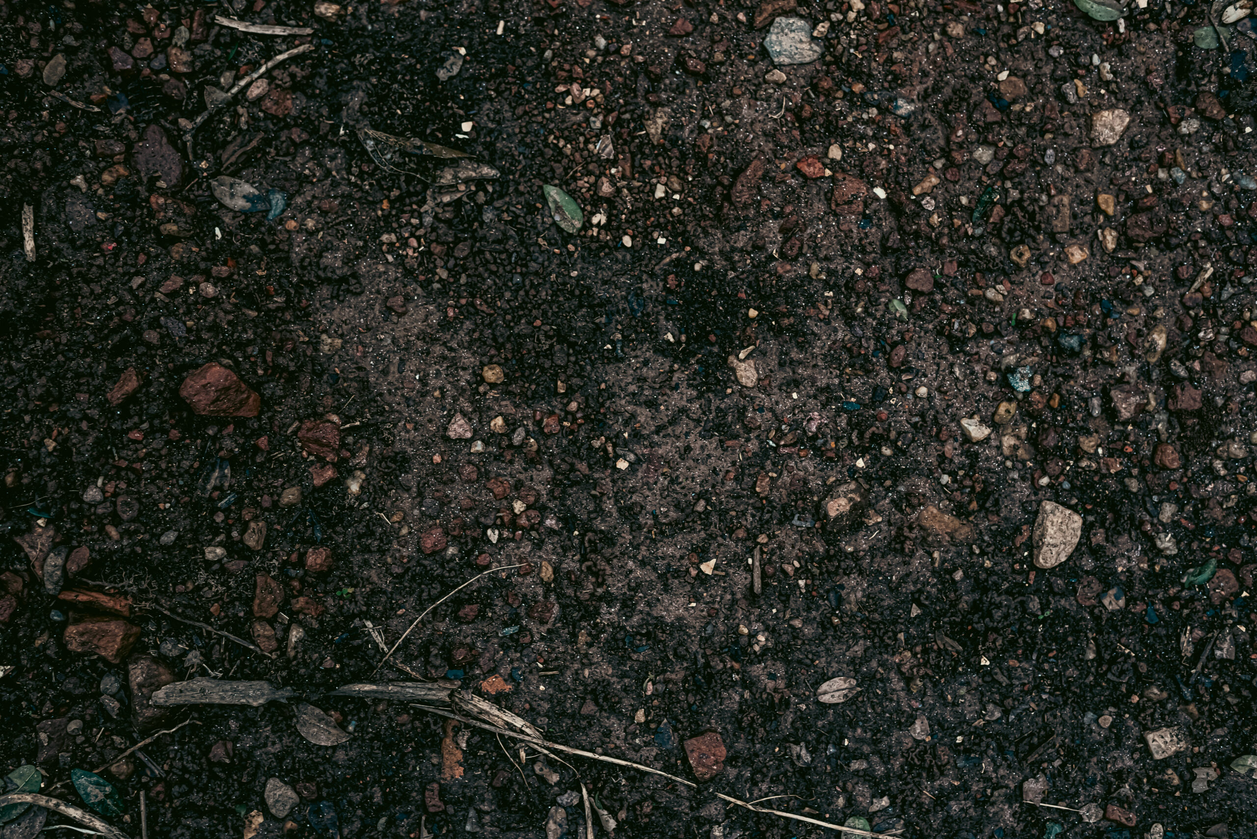 Top-down view of dark, damp soil mixed with small pebbles.