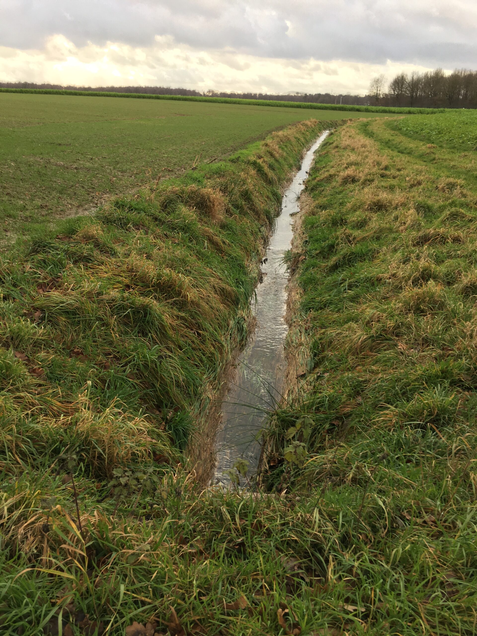 Excavator bucket dropping dirt into an open trench.