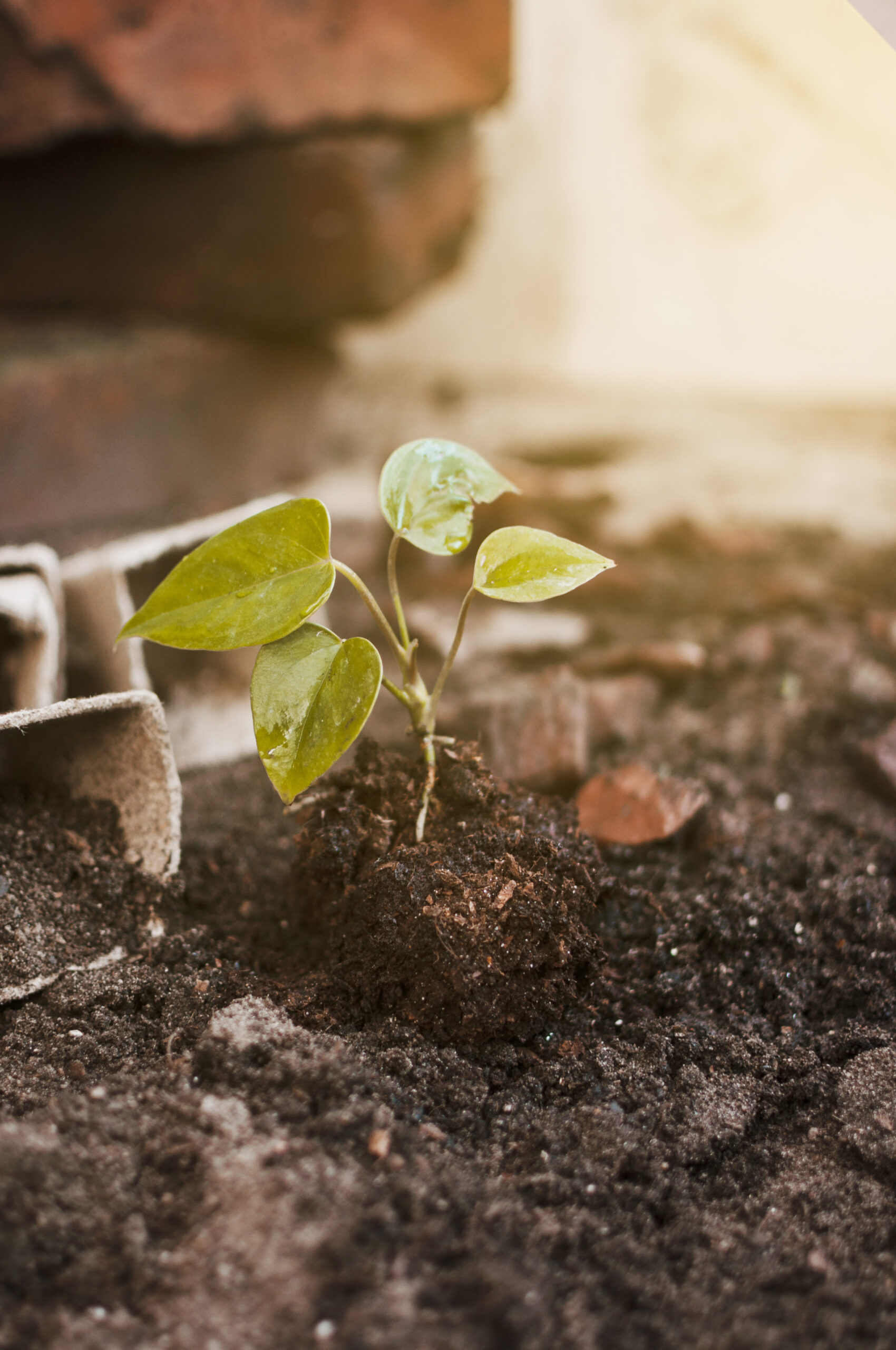 Excavator bucket dropping dirt into an open trench.