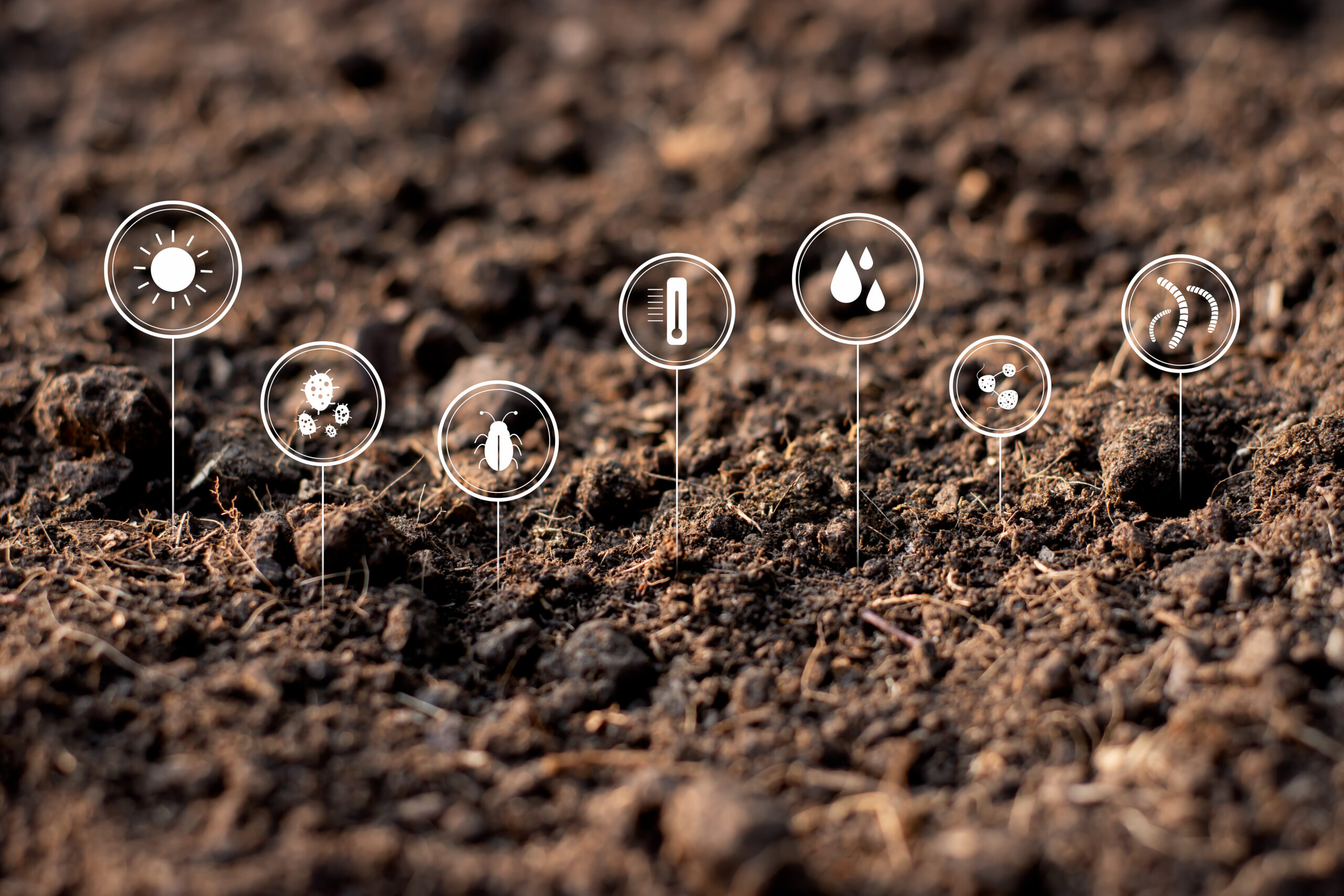 Close-up of rich soil with digital smart farming icons.