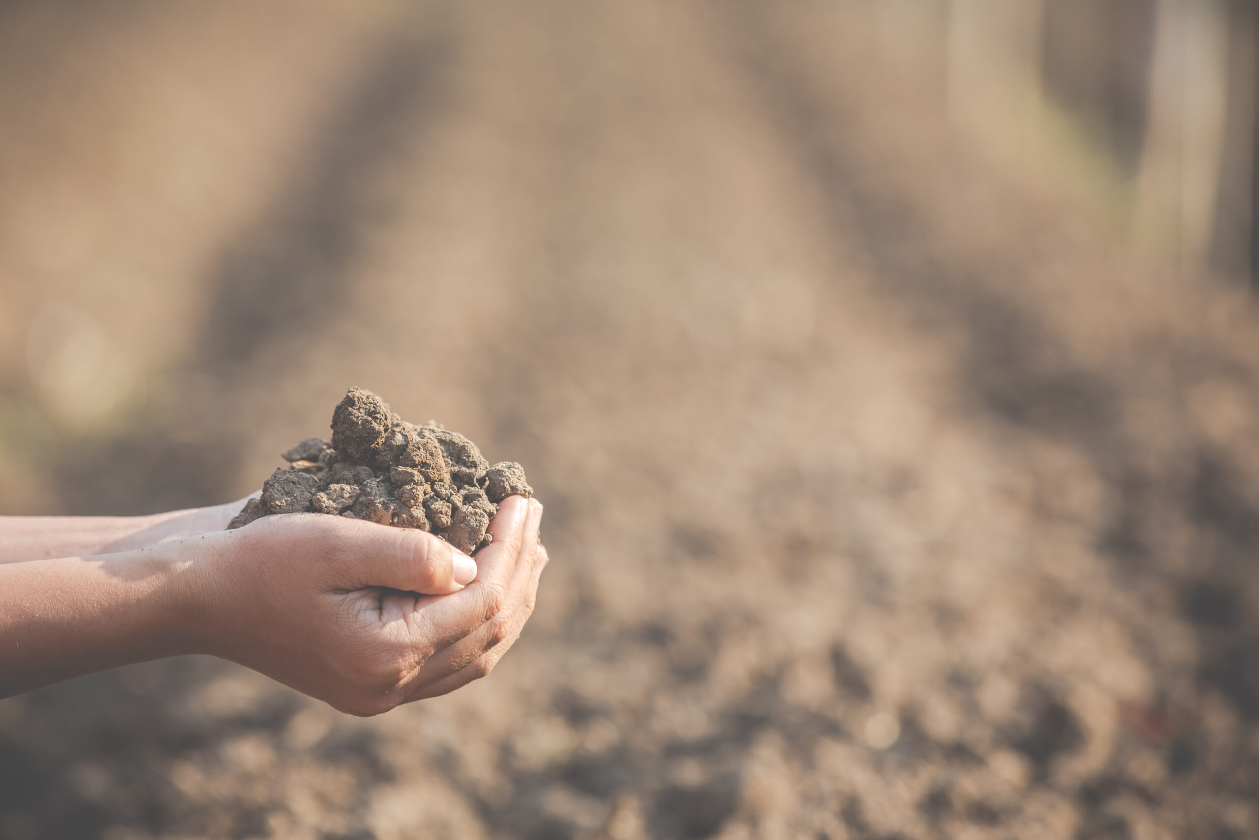 Hands holding a pile of rich brown soil over a field.